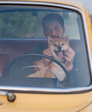 Sakarya8217da Kopek Icin Direksiyon Kirdi Surucu Duvara Carpti featured