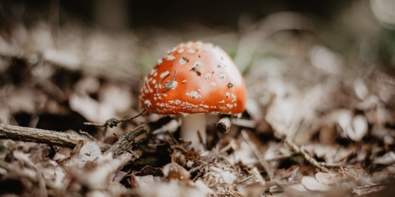 Sakarya8217da Trafikte Tek Teker Gosterisi Surucunun Tehlikeli Anlari Kamerada featured