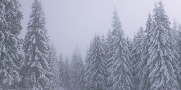 Sakarya8217nin Cam Dagi Beyaz Ortusuyle Buyuledi Drone8217dan Muhtesem Kis Manzaralari featured