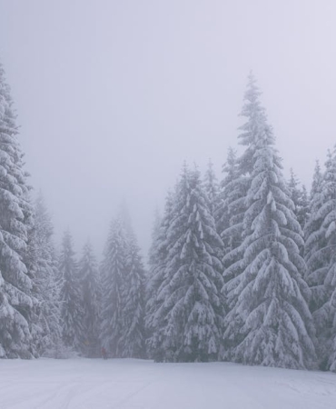 Sakarya8217nin Cam Dagi Beyaz Ortusuyle Buyuledi Drone8217dan Muhtesem Kis Manzaralari featured