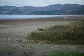 sapanca golunde damla damla umut