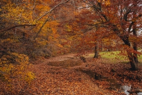 Izmir8217de Dere Yatagina Dusen Otomobil Kurtarildi featured