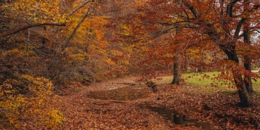 Izmir8217de Dere Yatagina Dusen Otomobil Kurtarildi featured