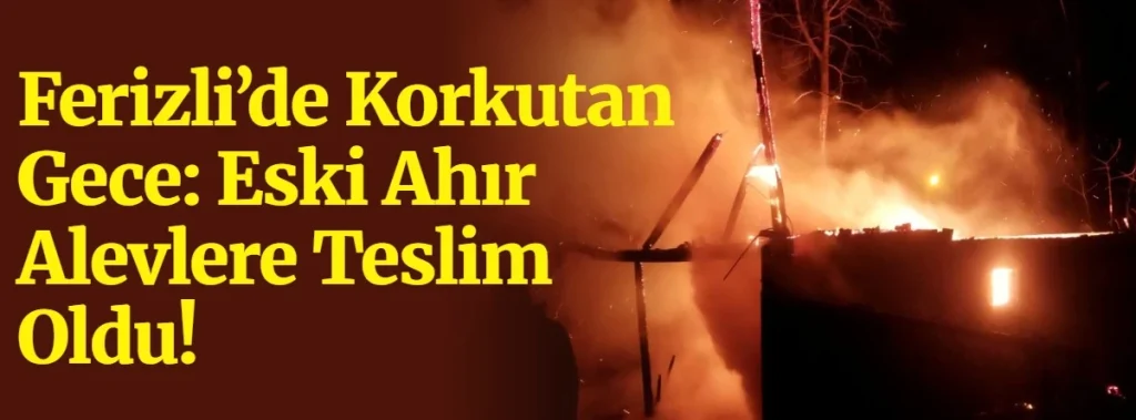 ferizli yangın korkuttu