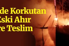 ferizli yangın korkuttu