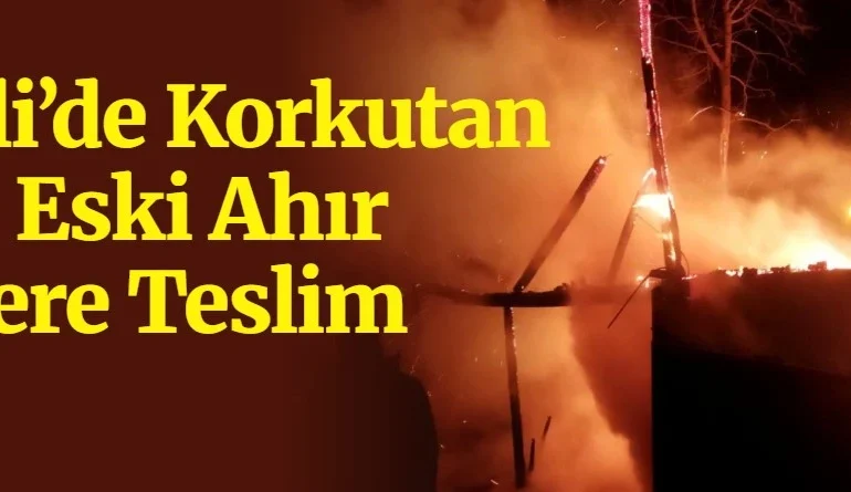 ferizli-yangın-korkuttu