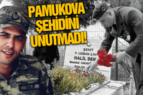 pamukova sehidini unutmadi idlib sehidi halil demir mezari basinda anildi 6