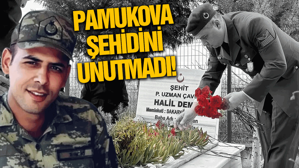 pamukova sehidini unutmadi idlib sehidi halil demir mezari basinda anildi 6