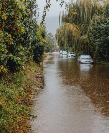 Bingol8217de Sel Felaketi Sulara Kapilan 12 Keci Kurtarildi featured