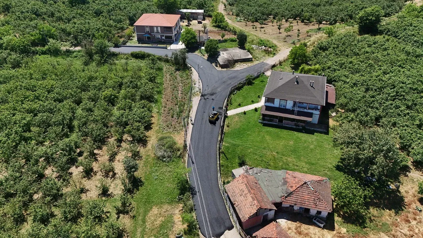 Söğütlü Asfalt 2