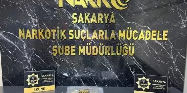 Kuzey Marmara