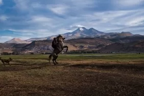 Erciyes-Eteklerinde-Gun-Batiminda-Yilki-Atlarinin-Muhtesem-Goruntusu-featured