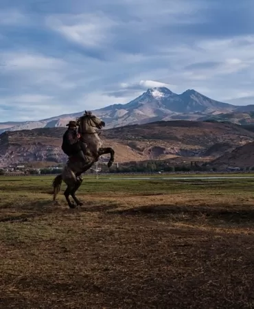 Erciyes-Eteklerinde-Gun-Batiminda-Yilki-Atlarinin-Muhtesem-Goruntusu-featured