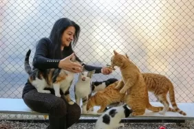 Kafasina-Konserve-Kutusu-Sikisan-Kedi-Temizlik-Iscileriyle-Kurtarildi-featured