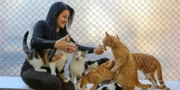 Kafasina-Konserve-Kutusu-Sikisan-Kedi-Temizlik-Iscileriyle-Kurtarildi-featured