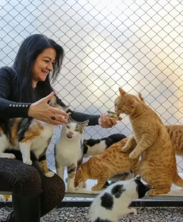 Kafasına Konserve Kutusu Sıkışan Kedi Temizlik İşçileriyle Kurtarıldı 7 Kafasina-Konserve-Kutusu-Sikisan-Kedi-Temizlik-Iscileriyle-Kurtarildi-featured