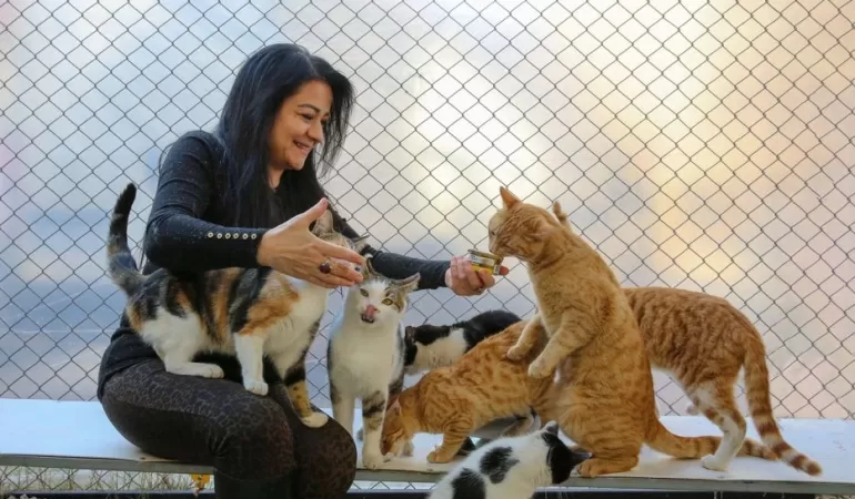 Kafasina-Konserve-Kutusu-Sikisan-Kedi-Temizlik-Iscileriyle-Kurtarildi-featured