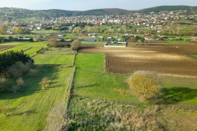 Söğütlü'de 10.824 metrekare arsa açık artırmayla satılacak 6 Sogutlu8217de-10.824-metrekare-arsa-acik-artirmayla-satilacak-featured