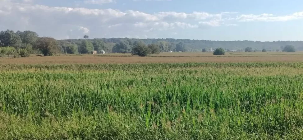 Sakarya’da Endüstri Bölgesi Kararına Tepki 19 Sakarya-tarim