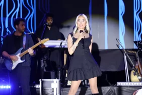 Ferizli Tarım Festivali 4 Günlük Coşkunun Ardından Sona Erdi 8 ferizli festival