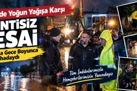 ferizli
