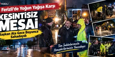 ferizli