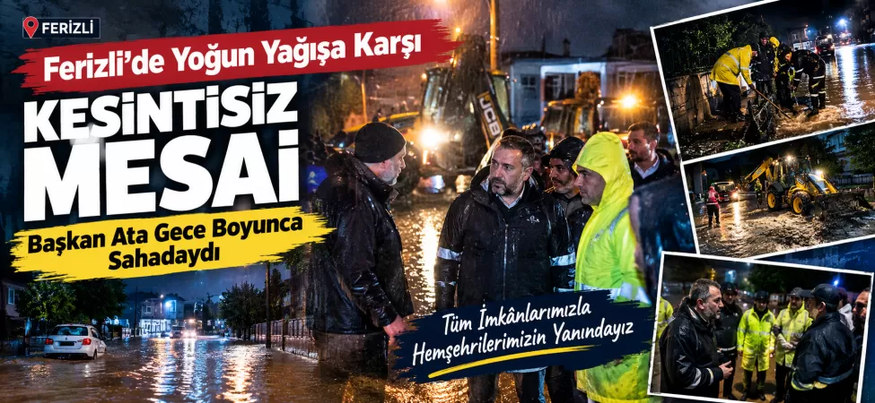 ferizli