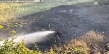 Sakarya Kaynarca'da kontrolsüz yakılan ateş otluk alana sıçradı, 4 dönüm zarar gördü