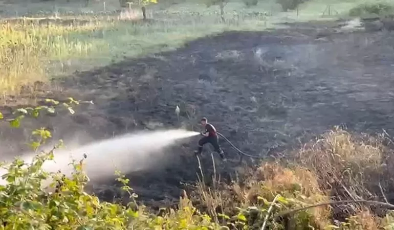 Kaynarca`da kontrolsüz ateş 4 dönüm otluk alanı yaktı 1 Sakarya Kaynarca'da kontrolsüz yakılan ateş otluk alana sıçradı, 4 dönüm zarar gördü
