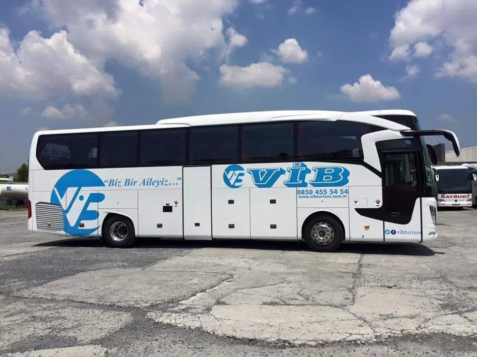 viB