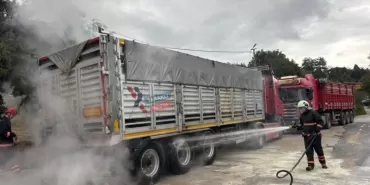 Taraklı'da seyir halindeki TIR'ın balataları alev aldı