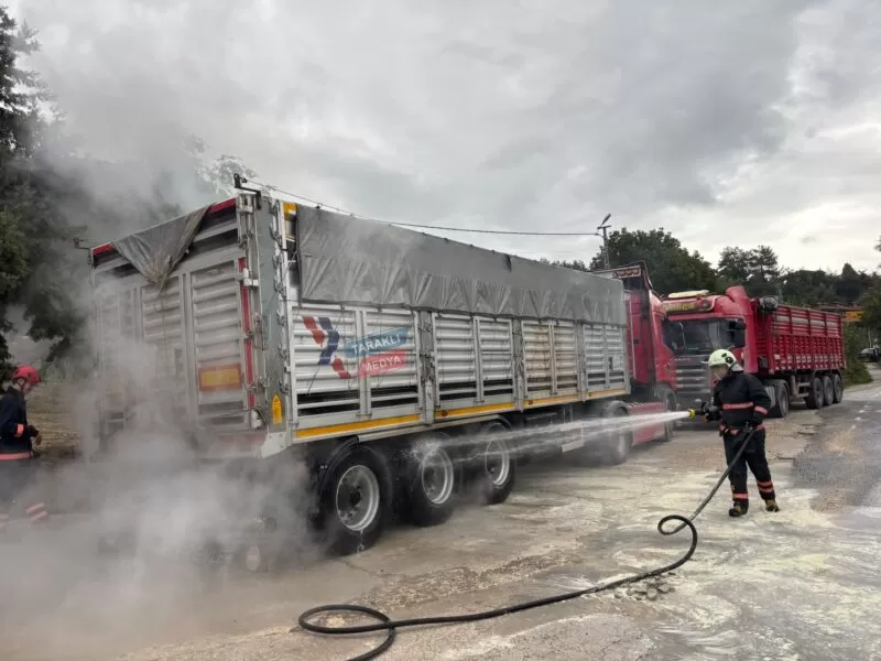 Taraklı'da seyir halindeki TIR'ın balataları alev aldı